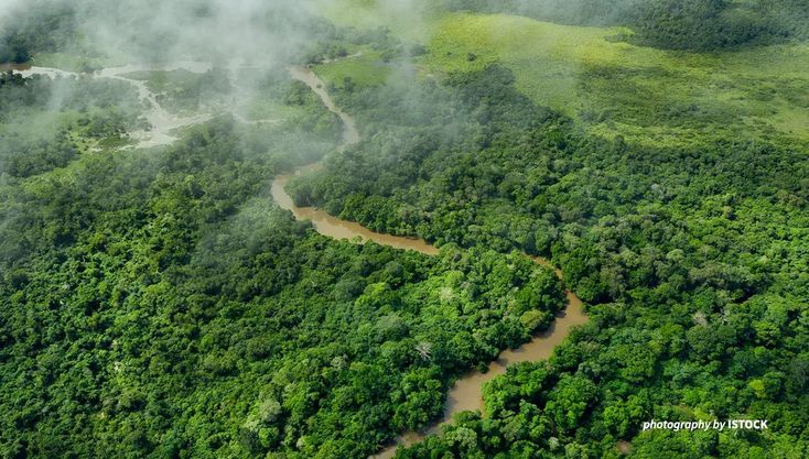 Congo Basin